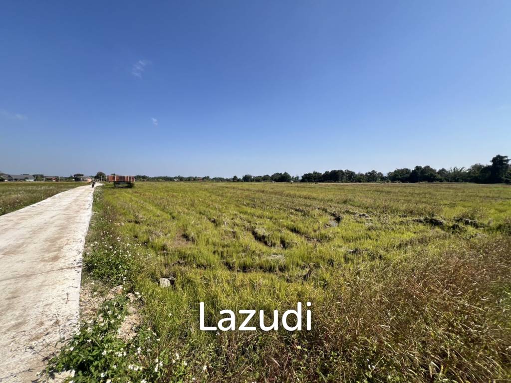 4 Rai Land for Sale and Mountain View in Chiang Rai