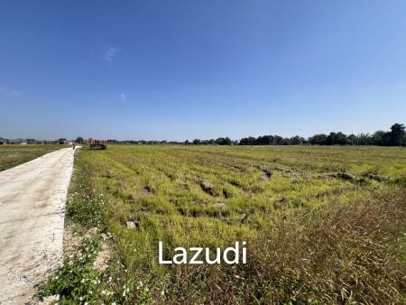 4 Rai Land for Sale and Mountain View in Chiang Rai