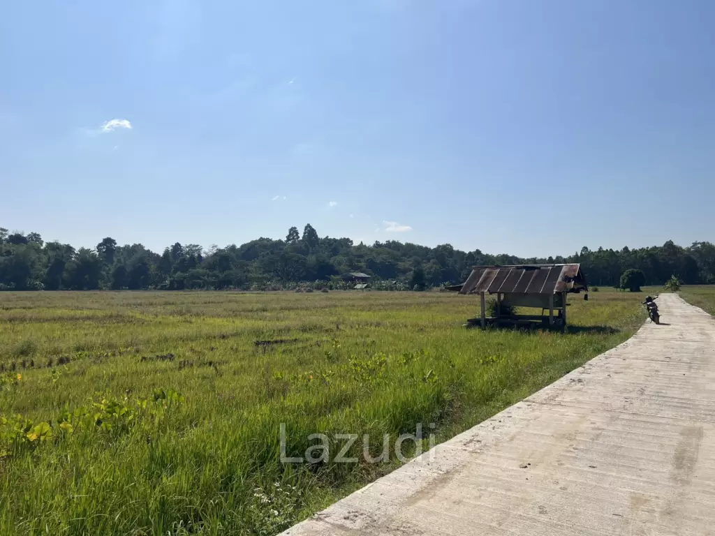 ขายที่ดิน 4 ไร่ ที่นา วิวภูเขา แม่กรณ์ เชียงราย