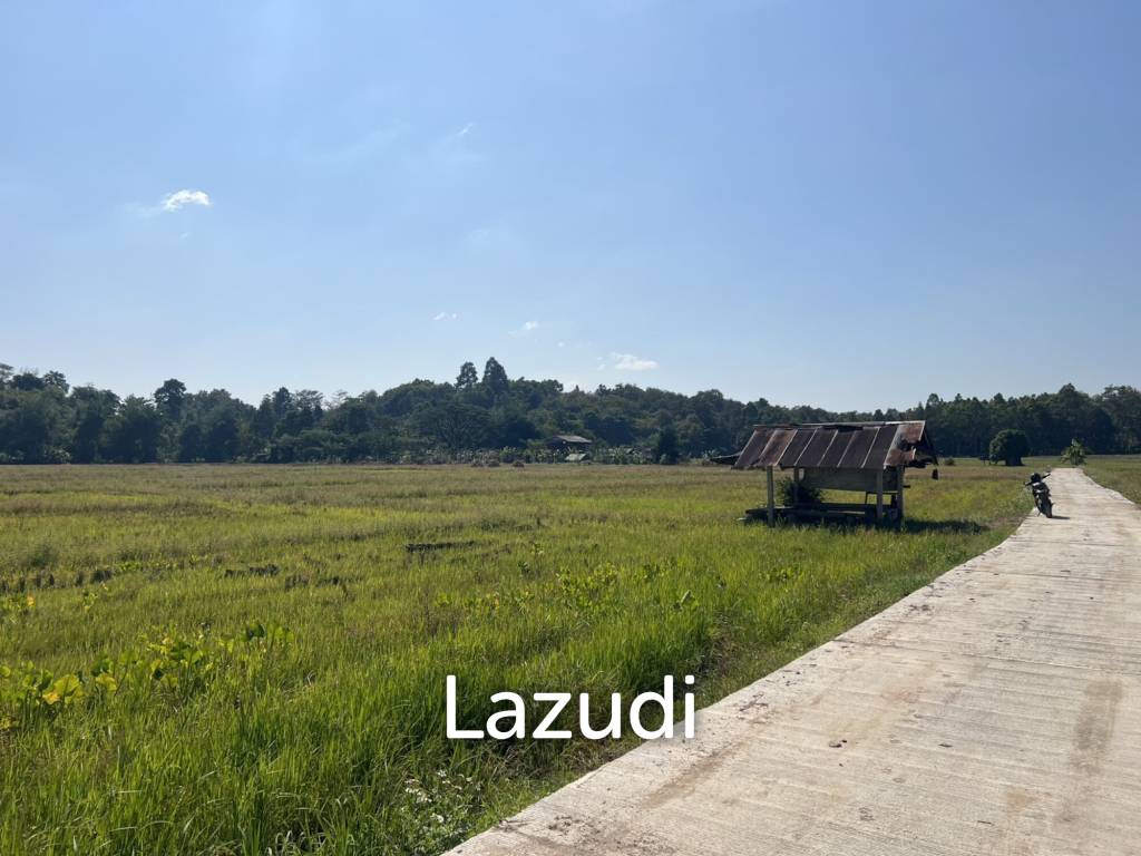 4 Rai Land for Sale and Mountain View in Chiang Rai