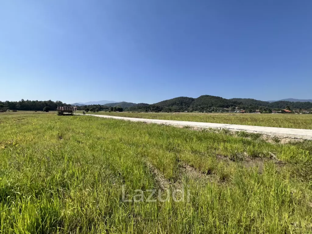 ขายที่ดิน 4 ไร่ ที่นา วิวภูเขา แม่กรณ์ เชียงราย