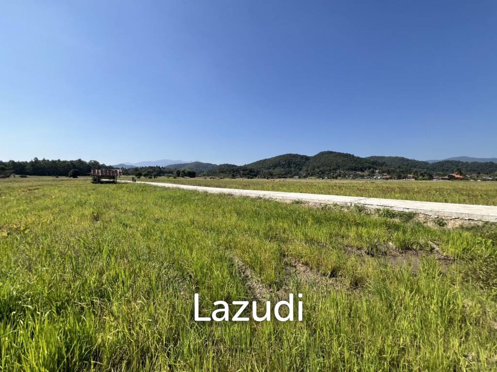 4 Rai Land for Sale and Mountain View in Chiang Rai