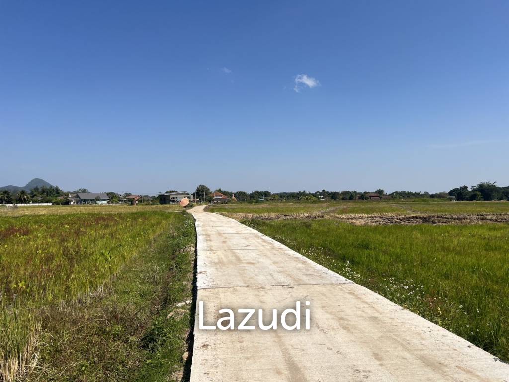 4 Rai Land for Sale and Mountain View in Chiang Rai