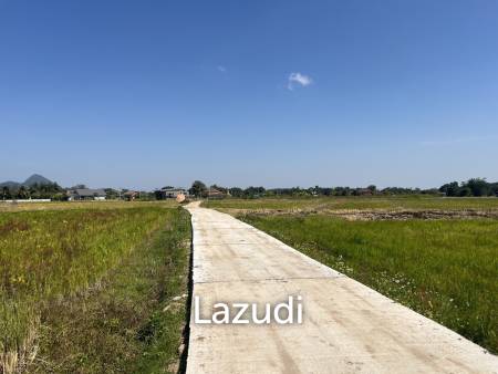 4 Rai Land for Sale and Mountain View in Chiang Rai