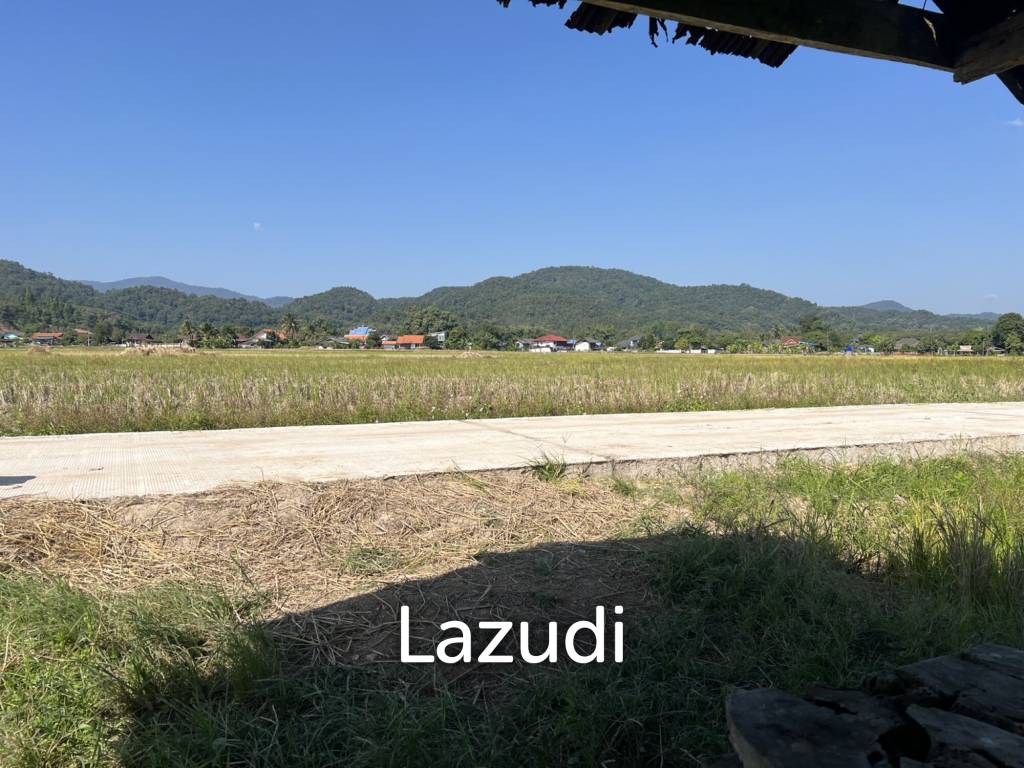 4 Rai Land for Sale and Mountain View in Chiang Rai