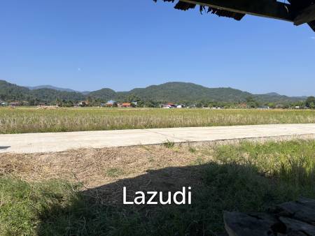 4 Rai Land for Sale and Mountain View in Chiang Rai