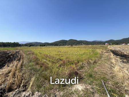 4 Rai Land for Sale and Mountain View in Chiang Rai