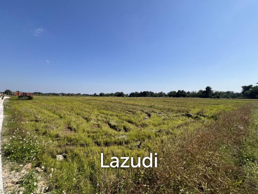 4 Rai Land for Sale and Mountain View in Chiang Rai