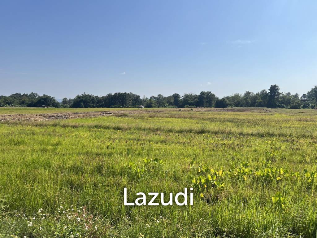 4 Rai Land for Sale and Mountain View in Chiang Rai