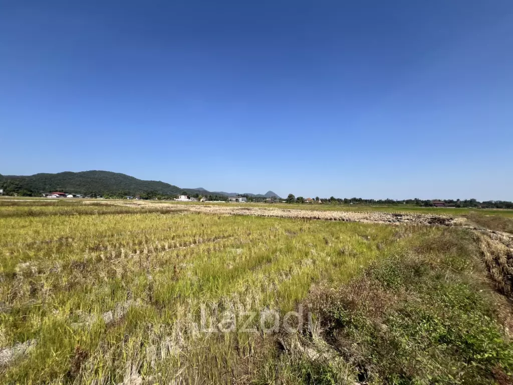 ขายที่ดิน 4 ไร่ ที่นา วิวภูเขา แม่กรณ์ เชียงราย