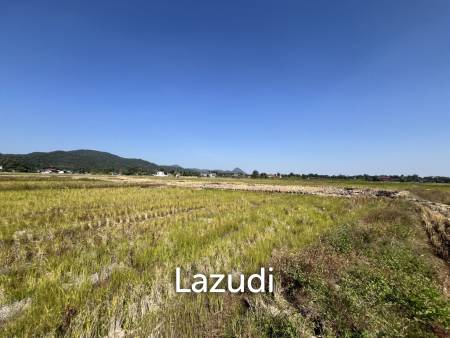 4 Rai Land for Sale and Mountain View in Chiang Rai