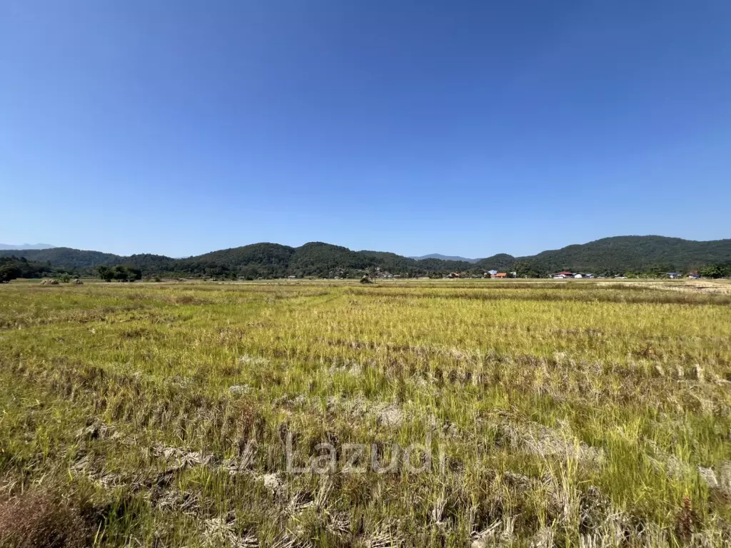 ขายที่ดิน 4 ไร่ ที่นา วิวภูเขา แม่กรณ์ เชียงราย