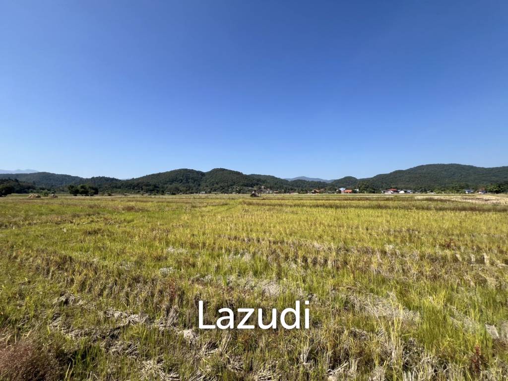 4 Rai Land for Sale and Mountain View in Chiang Rai