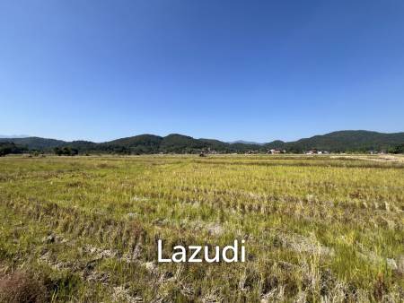 4 Rai Land for Sale and Mountain View in Chiang Rai
