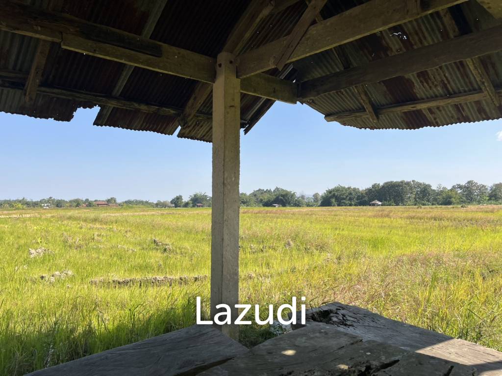 4 Rai Land for Sale and Mountain View in Chiang Rai