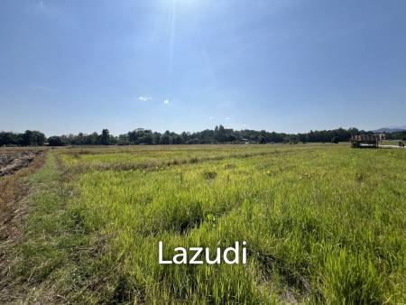 4 Rai Land for Sale and Mountain View in Chiang Rai