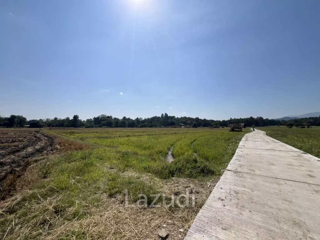 ขายที่ดิน 4 ไร่ ที่นา วิวภูเขา แม่กรณ์ เชียงราย