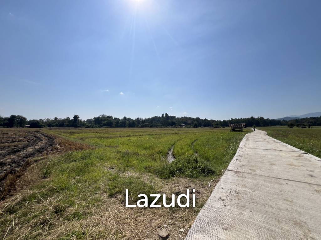 4 Rai Land for Sale and Mountain View in Chiang Rai