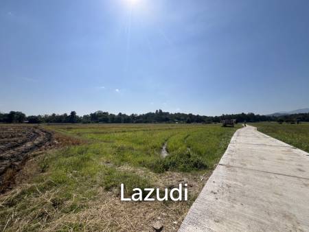 4 Rai Land for Sale and Mountain View in Chiang Rai