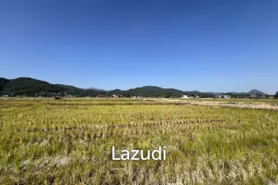 ขายที่ดิน 4 ไร่ ที่นา วิวภูเขา แม่กรณ์ เชียงราย