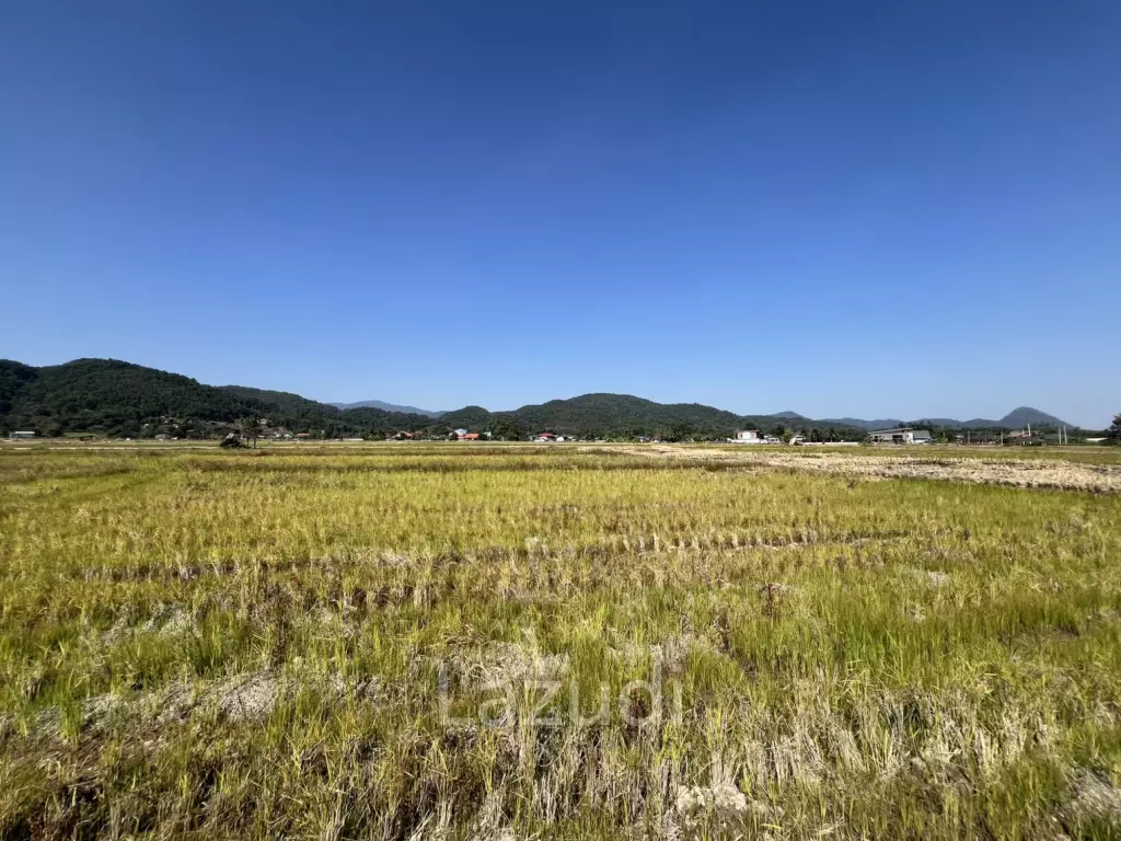 ขายที่ดิน 4 ไร่ ที่นา วิวภูเขา แม่กรณ์ เชียงราย