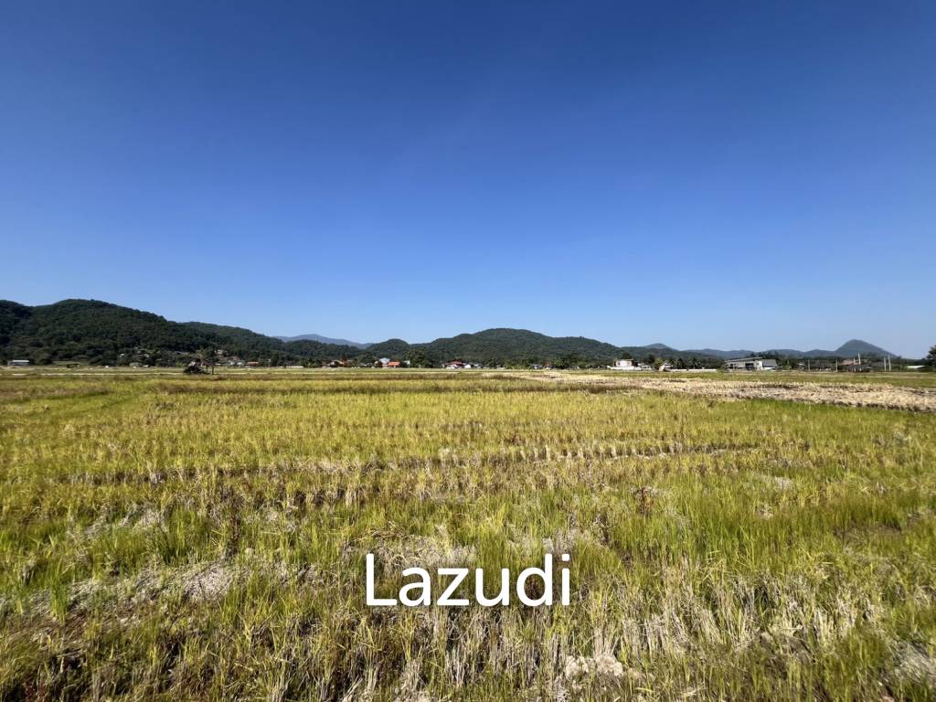 4 Rai Land for Sale and Mountain View in Chiang Rai