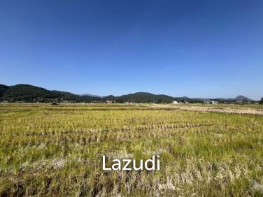 4 Rai Land for Sale and Mountain View in Chiang Rai