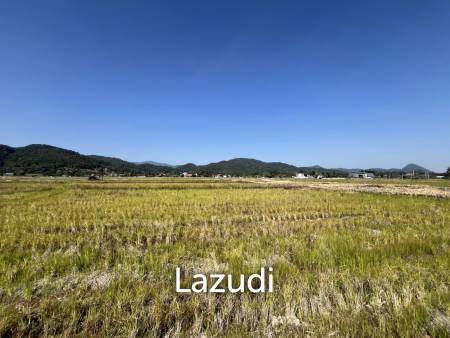 4 Rai Land for Sale and Mountain View in Chiang Rai