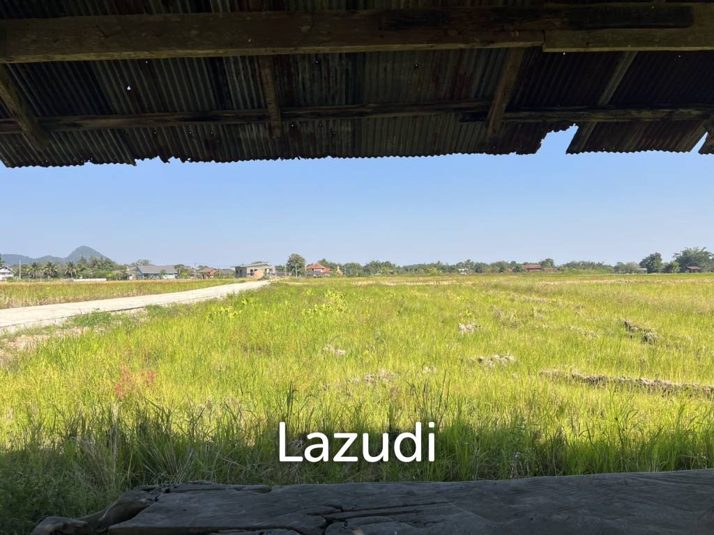 4 Rai Land for Sale and Mountain View in Chiang Rai