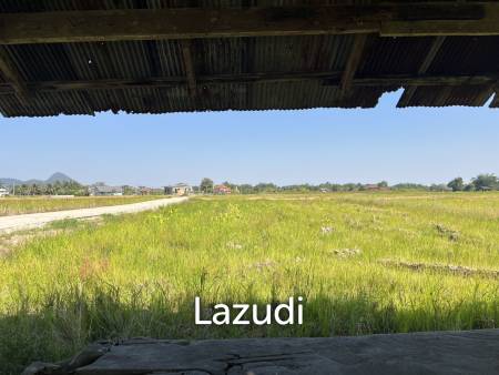 4 Rai Land for Sale and Mountain View in Chiang Rai