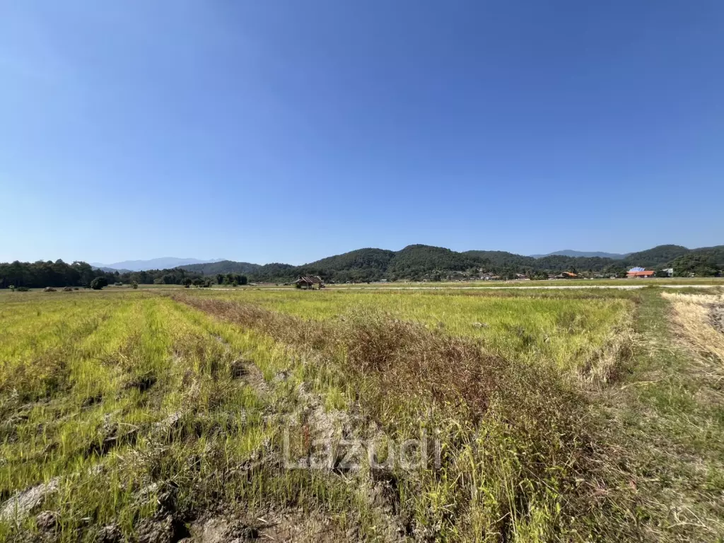 ขายที่ดิน 4 ไร่ ที่นา วิวภูเขา แม่กรณ์ เชียงราย