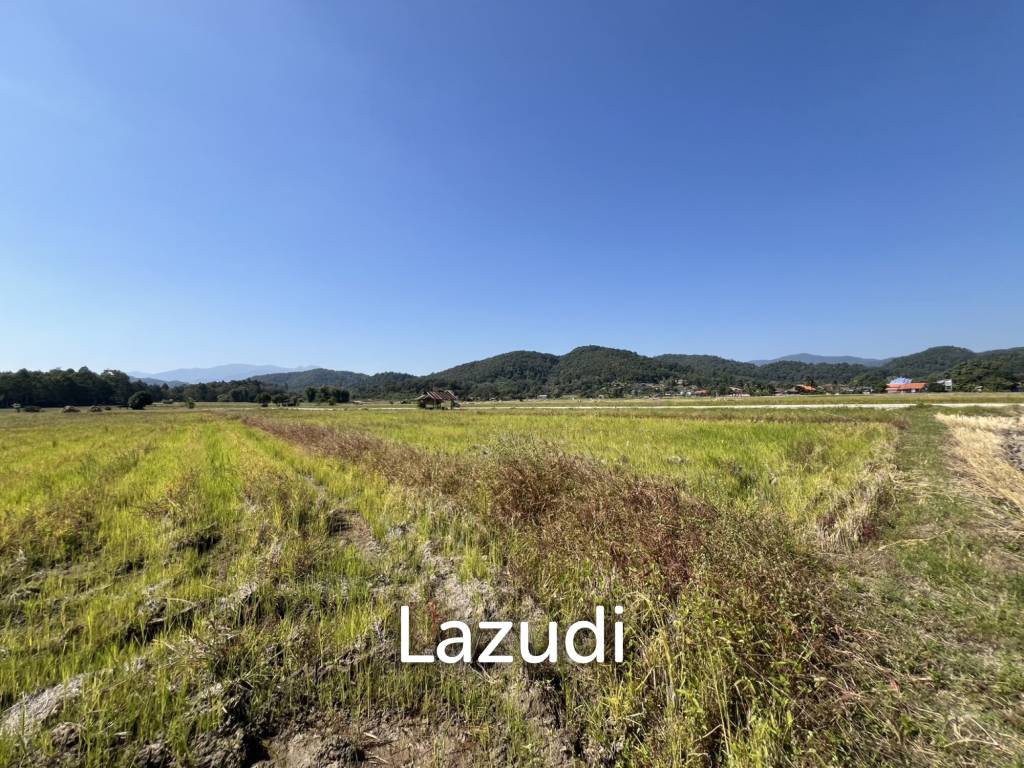 4 Rai Land for Sale and Mountain View in Chiang Rai