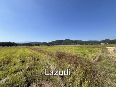 4 Rai Land for Sale and Mountain View in Chiang Rai