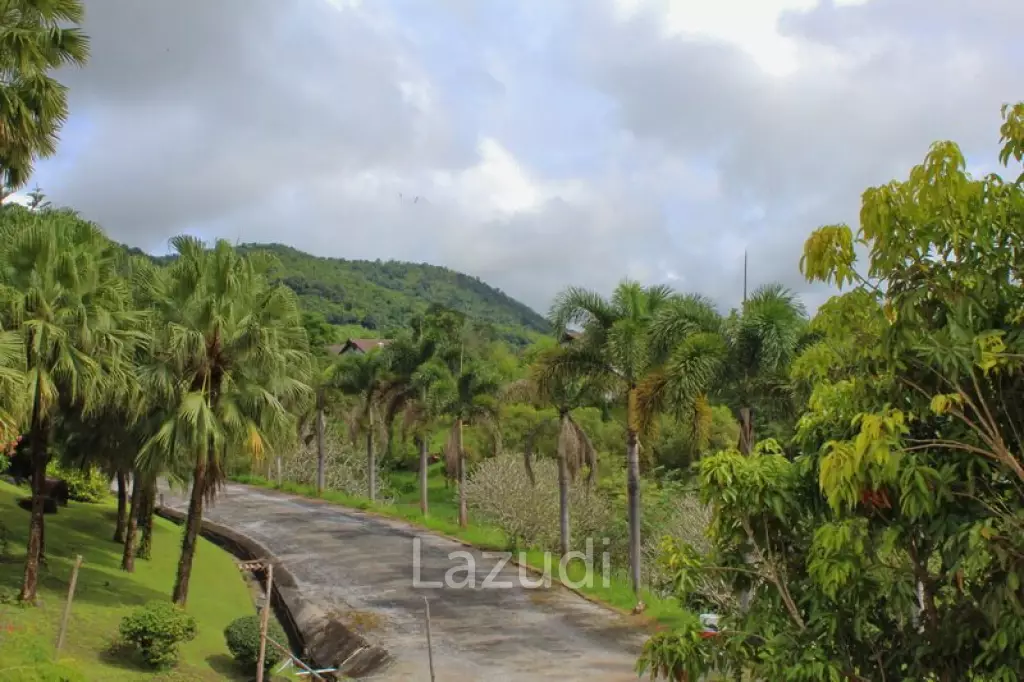 ที่ดินสวยพัฒนา