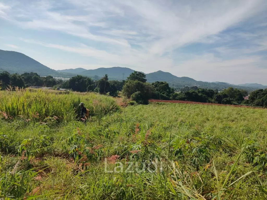 25 Rai 350 SQ.W. Land Nearby Bangsaray Beach