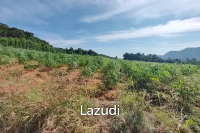 25 Rai 350 SQ.W. Land Nearby Bangsaray Beach