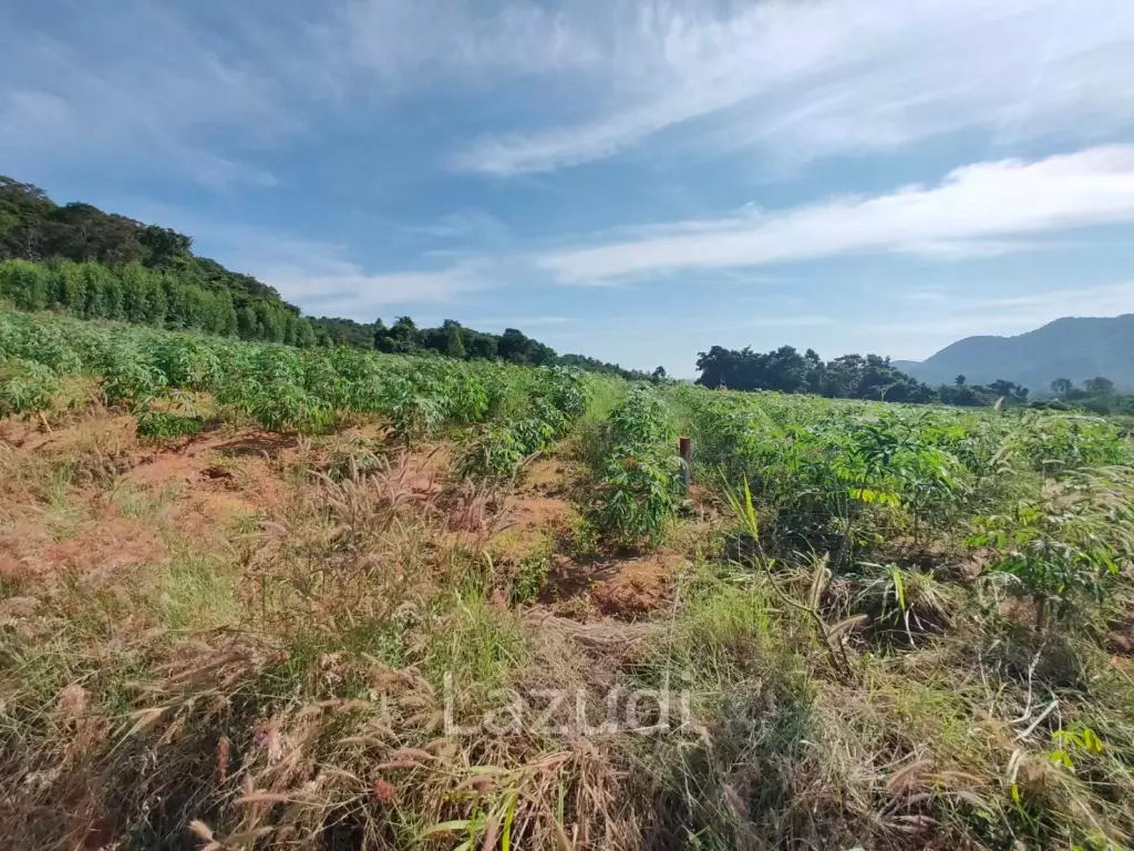 25 Rai 350 SQ.W. Land Nearby Bangsaray Beach