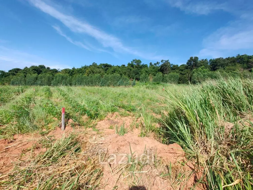 25 Rai 350 SQ.W. Land Nearby Bangsaray Beach