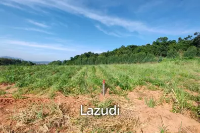 25 Rai 350 SQ.W. Land Nearby Bangsaray Beach