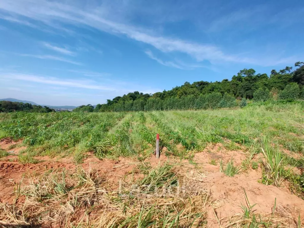 25 Rai 350 SQ.W. Land Nearby Bangsaray Beach