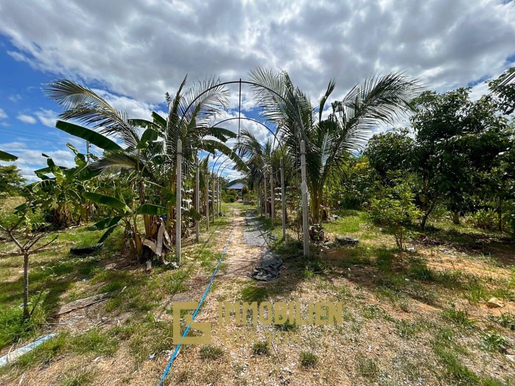 Nong Phlap : Spacieuse villa de 5 chambres sur un terrain de 3 Rai