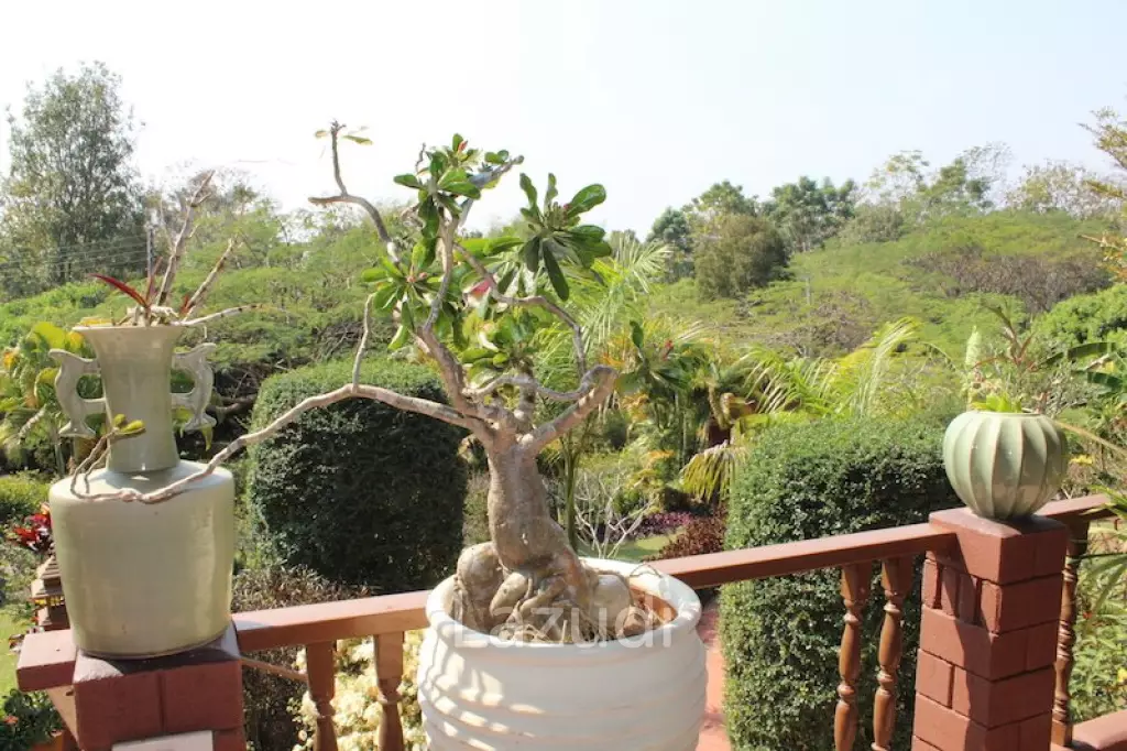 Amazing Lanna Style House for Sale