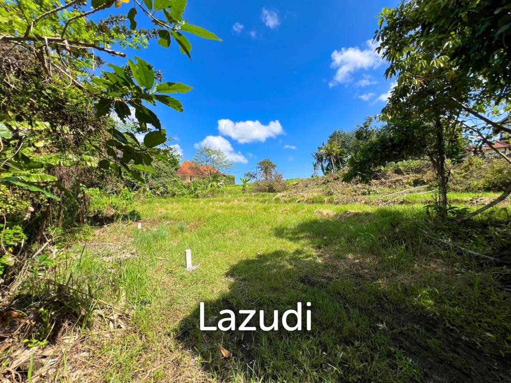 FREEHOLD LAND IN NYANYI, PERFECT FOR YOUR DREAM VILLA!