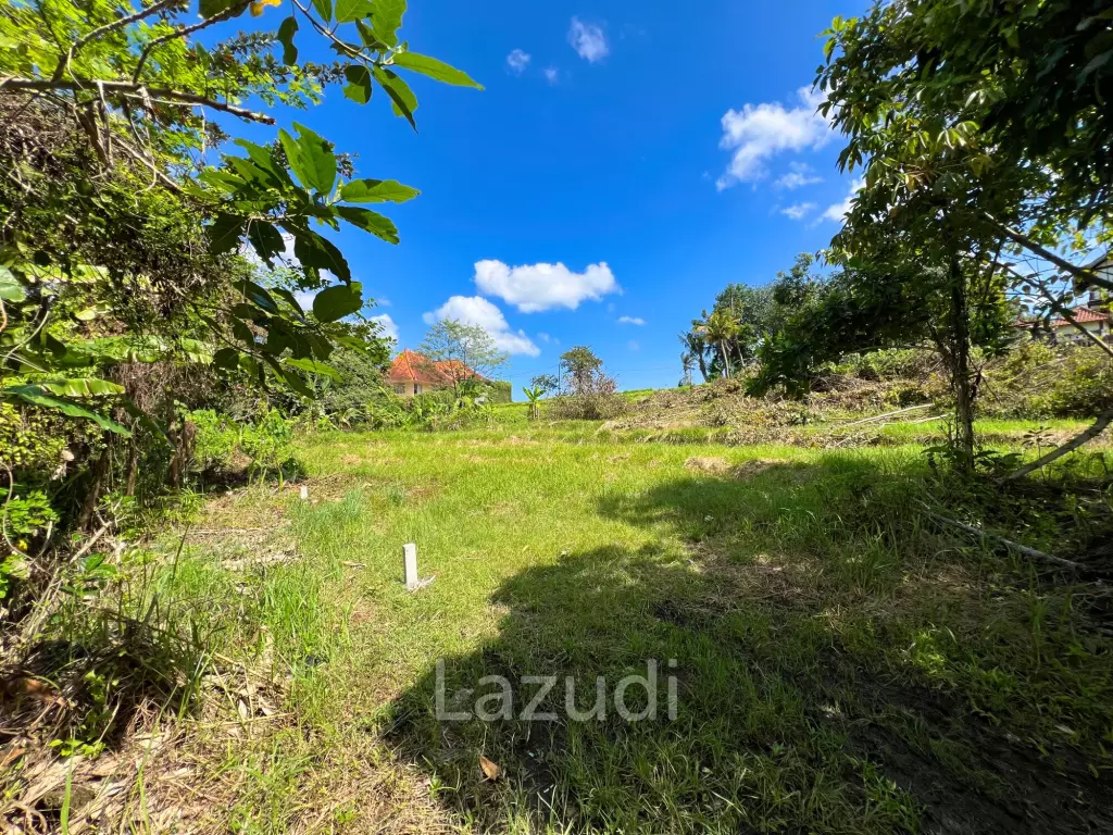FREEHOLD LAND IN NYANYI, PERFECT FOR YOUR DREAM VILLA!