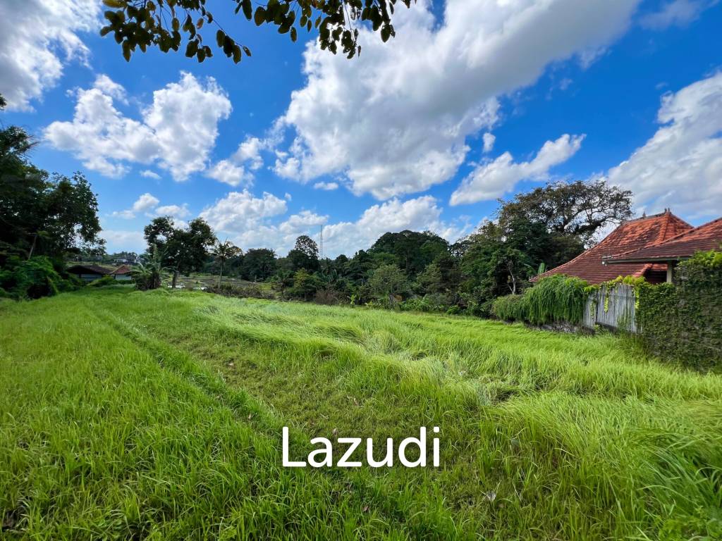 FREEHOLD LAND IN NYANYI, PERFECT FOR YOUR DREAM VILLA!