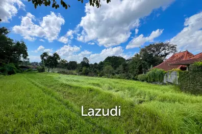 FREEHOLD LAND IN NYANYI, PERFECT FOR YOUR DREAM VILLA!