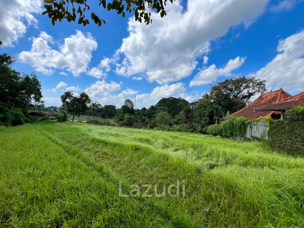 FREEHOLD LAND IN NYANYI, PERFECT FOR YOUR DREAM VILLA!