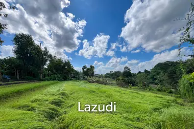FREEHOLD LAND IN NYANYI, PERFECT FOR YOUR DREAM VILLA!