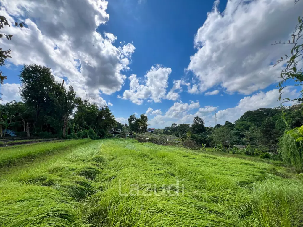 FREEHOLD LAND IN NYANYI, PERFECT FOR YOUR DREAM VILLA!
