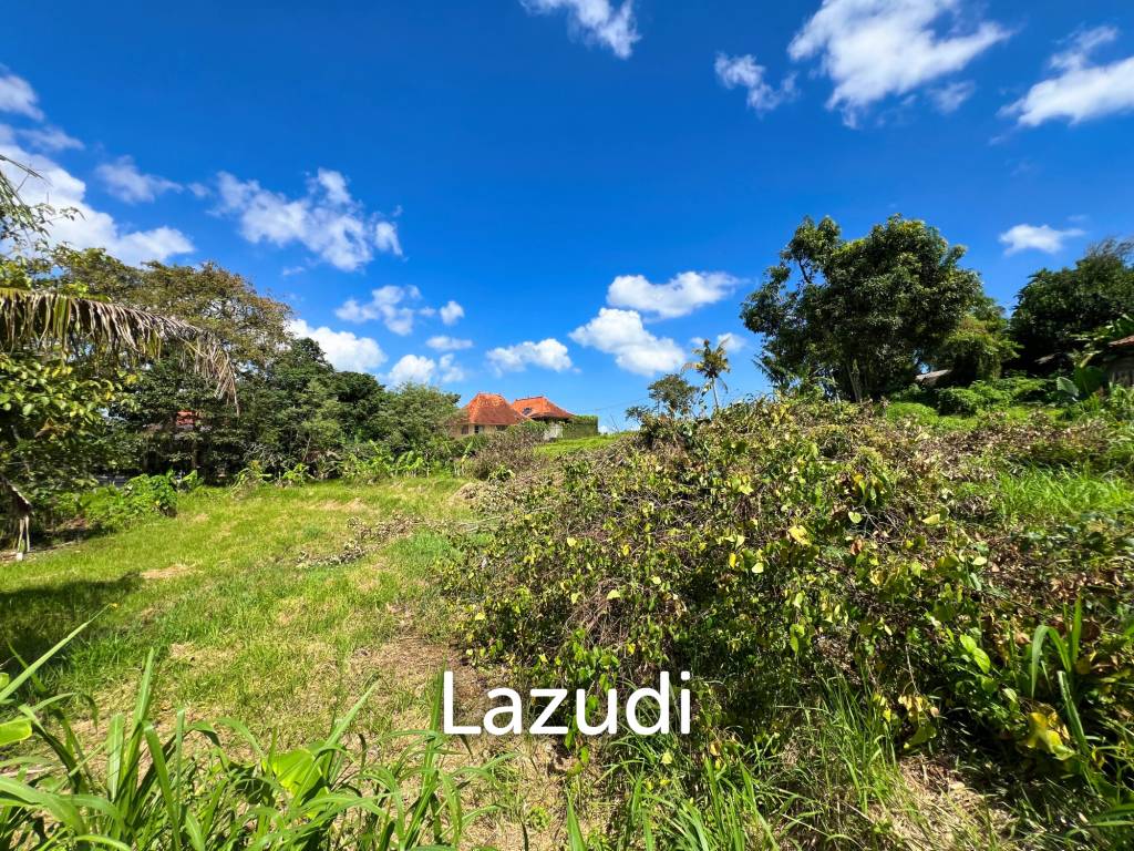 FREEHOLD LAND IN NYANYI, PERFECT FOR YOUR DREAM VILLA!